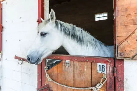 477826, Maison 4 personnes à Pumenengo - Photo 20