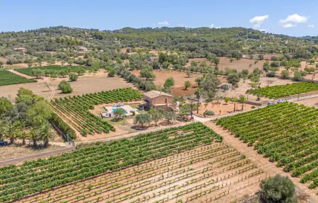 Location Maison 5 personnes à Felanitx - Photo 16