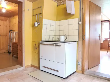 Reinisch, Gite 3 personnes à Frutigen - Photo 14