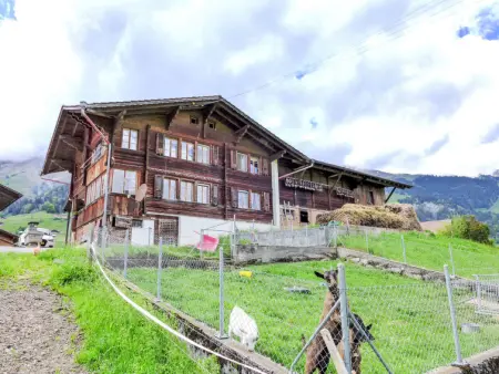 Reinisch, Gite 3 personnes à Frutigen - Photo 19