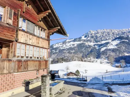 Reinisch, Gite 3 personnes à Frutigen - Photo 20