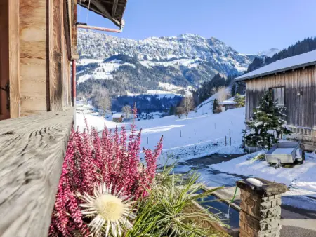 Reinisch, Gite 3 personnes à Frutigen - Photo 21