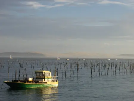 Maison familiale à Arcachon : 3 chambres, jardin sous les pins, WIFI FIBRE, proche plage et centre - Photo 15