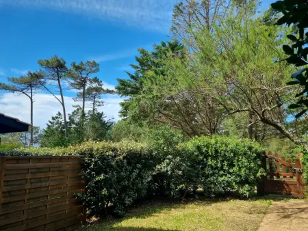 Villa à Seignosse: Plage à pied, Terrasse, 3 Chambres, Quartier calme - Photo 22