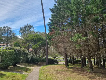 Villa à Seignosse: Plage à pied, Terrasse, 3 Chambres, Quartier calme - Photo 23