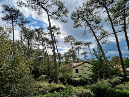 Villa à Seignosse: Plage à pied, Terrasse, 3 Chambres, Quartier calme - Photo 24