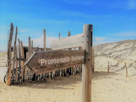 Villa à Seignosse: Plage à pied, Terrasse, 3 Chambres, Quartier calme - Photo 28