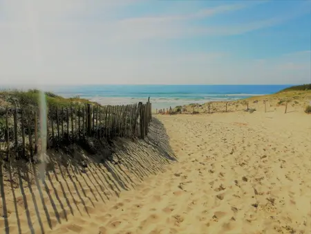 Villa à Seignosse: Plage à pied, Terrasse, 3 Chambres, Quartier calme - Photo 29