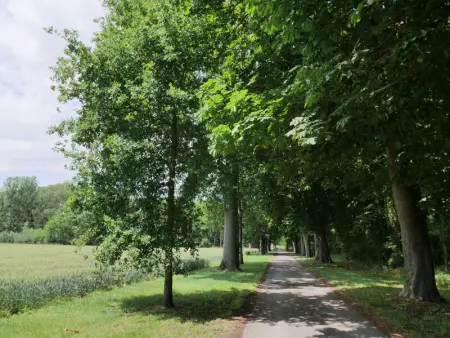 Charmant Gîte Familial au Cœur des Vignes à Meusnes - Photo 18