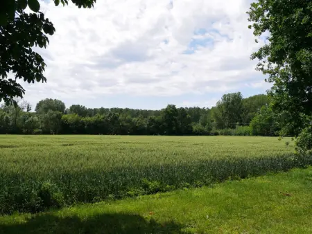 Charmant Gîte Familial au Cœur des Vignes à Meusnes - Photo 19