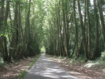 Charmant Gîte Familial au Cœur des Vignes à Meusnes - Photo 21