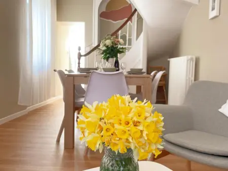 Gîte tout confort pour 6-8 pers, cœur de village, parking privé, jardin clos, proche ZooParc de Beauval - Photo 5