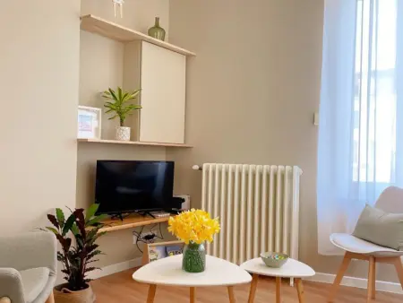 Gîte tout confort pour 6-8 pers, cœur de village, parking privé, jardin clos, proche ZooParc de Beauval - Photo 7