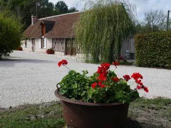 Gite à Cour Cheverny,Gîte champêtre familial près des Châteaux de la Loire, terrasse, pêche, aire de jeux, animaux acceptés FR-1-491-345 N°999912