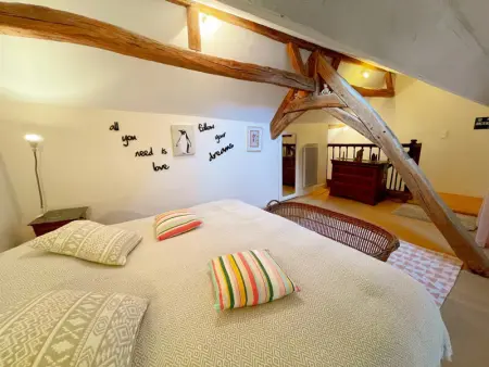 Charmant gîte à Pontlevoy avec cour privée, vélos, terrasse et proche des châteaux et commerces - Photo 10