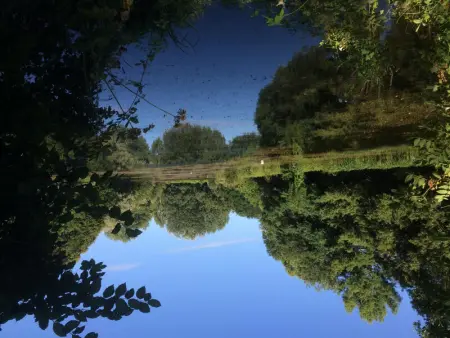 Séjour Bucolique en Sologne: Gîte de Plain-Pied avec Étangs et à Proximité des Châteaux de la Loire - Photo 20