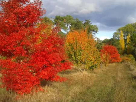 Séjour Bucolique en Sologne: Gîte de Plain-Pied avec Étangs et à Proximité des Châteaux de la Loire - Photo 21