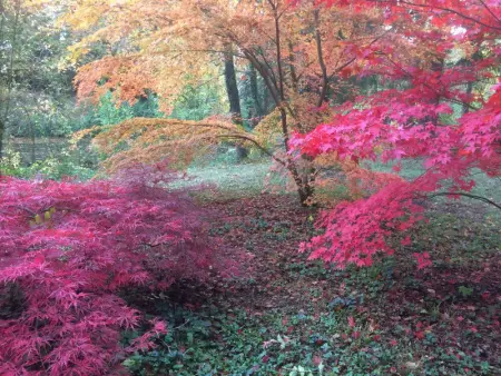 Séjour Bucolique en Sologne: Gîte de Plain-Pied avec Étangs et à Proximité des Châteaux de la Loire - Photo 23