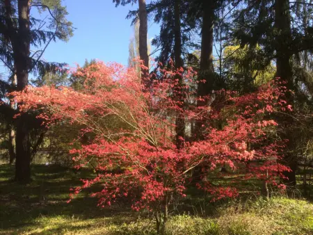 Séjour Bucolique en Sologne: Gîte de Plain-Pied avec Étangs et à Proximité des Châteaux de la Loire - Photo 24