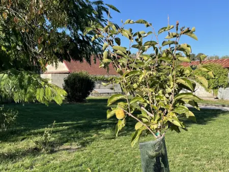 Gîte élégant avec grand jardin privé, idéalement situé près des châteaux et activités, tout inclus - Photo 14