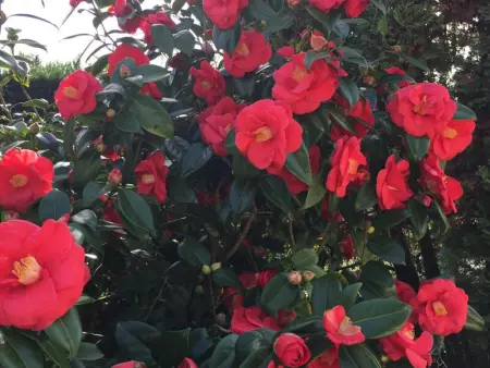 Gîte élégant avec grand jardin privé, idéalement situé près des châteaux et activités, tout inclus - Photo 15