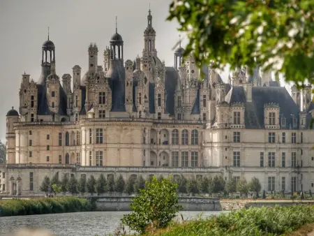 Gîte élégant avec grand jardin privé, idéalement situé près des châteaux et activités, tout inclus - Photo 17