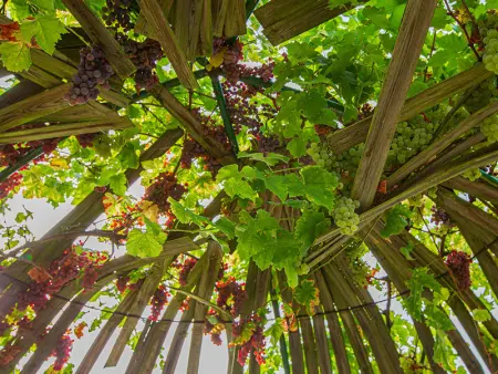 Gîte 4 chambres avec piscine couverte et jardin proche des châteaux de la Loire - Photo 17