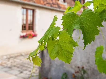 Gîte 4 chambres avec piscine couverte et jardin proche des châteaux de la Loire - Photo 21