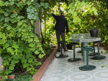 Gîte 4 chambres avec piscine couverte et jardin proche des châteaux de la Loire - Photo 22
