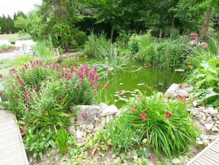Gîte tout confort avec grand jardin, cheminée, clim et WIFI, proche châteaux de la Loire et ZooParc de Beauval - Photo 14