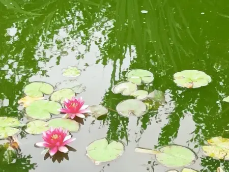 Gîte tout confort avec grand jardin, cheminée, clim et WIFI, proche châteaux de la Loire et ZooParc de Beauval - Photo 16