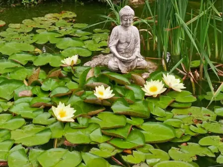 Gîte tout confort avec grand jardin, cheminée, clim et WIFI, proche châteaux de la Loire et ZooParc de Beauval - Photo 17
