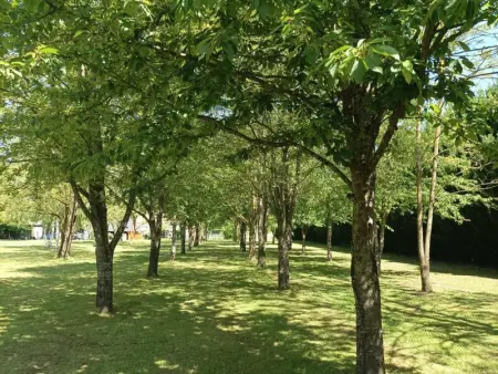 Gîte tout confort avec grand jardin, cheminée, clim et WIFI, proche châteaux de la Loire et ZooParc de Beauval - Photo 18