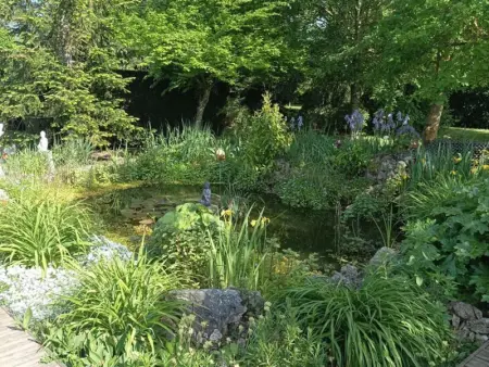 Gîte tout confort avec grand jardin, cheminée, clim et WIFI, proche châteaux de la Loire et ZooParc de Beauval - Photo 19