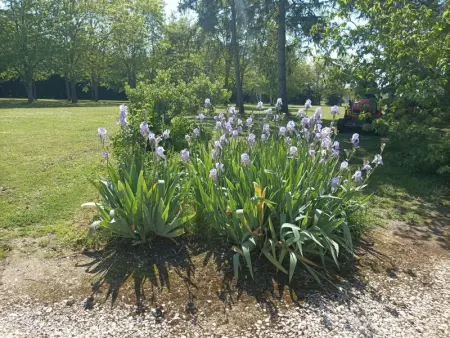 Gîte tout confort avec grand jardin, cheminée, clim et WIFI, proche châteaux de la Loire et ZooParc de Beauval - Photo 20