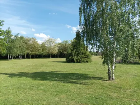 Gîte tout confort avec grand jardin, cheminée, clim et WIFI, proche châteaux de la Loire et ZooParc de Beauval - Photo 21