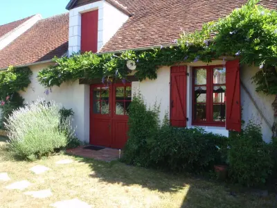 Gite à Pouillé, Gîte champêtre proche du Zooparc de Beauval, jardin privatif, vélos fournis, animaux acceptés - L999971