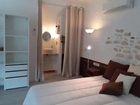 Gîte de charme proche du ZooParc de Beauval - 2 terrasses, jardin, cheminée, clim, parking gratuit - Photo 4