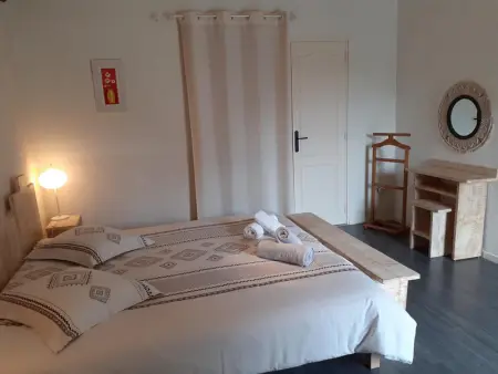 Gîte de charme proche du ZooParc de Beauval - 2 terrasses, jardin, cheminée, clim, parking gratuit - Photo 13