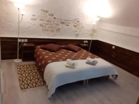 Gîte de charme proche du ZooParc de Beauval - 2 terrasses, jardin, cheminée, clim, parking gratuit - Photo 14