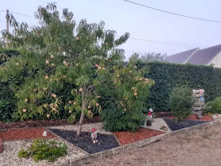 Gîte de charme proche du ZooParc de Beauval - 2 terrasses, jardin, cheminée, clim, parking gratuit - Photo 15