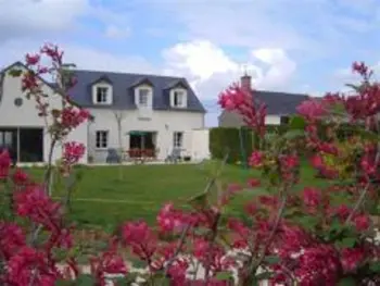 Gite à La Chapelle Saint Martin en Plaine,Maison avec piscine privative, proche châteaux de la Loire, 3 chambres, animaux acceptés, WiFi inclus FR-1-491-413 N°999979