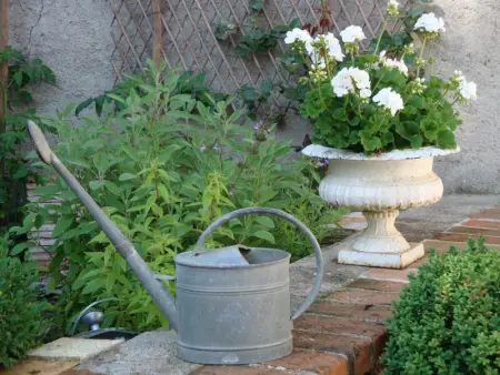 Gîte de Charme au Cœur de Blois avec Jardin Privé, Garage et Équipements Modernes - Photo 14
