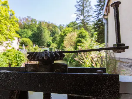 Gîte familial tout confort avec jardin, vélos, et proche châteaux et Zoo de Beauval. - Photo 17