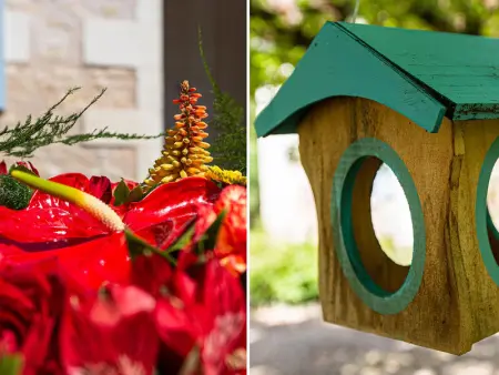 Gîte familial tout confort avec jardin, vélos, et proche châteaux et Zoo de Beauval. - Photo 18