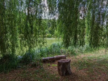 Gîte familial tout confort avec jardin, vélos, et proche châteaux et Zoo de Beauval. - Photo 22