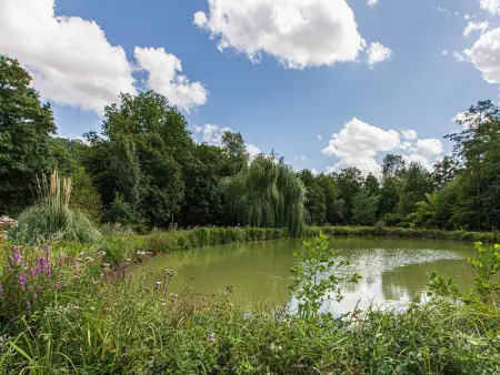 Gîte familial tout confort avec jardin, vélos, et proche châteaux et Zoo de Beauval. - Photo 23