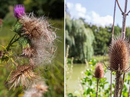 Gîte familial tout confort avec jardin, vélos, et proche châteaux et Zoo de Beauval. - Photo 24