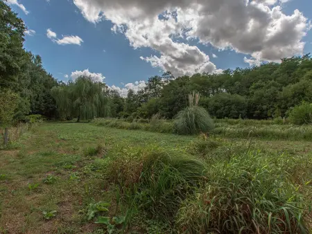 Gîte familial tout confort avec jardin, vélos, et proche châteaux et Zoo de Beauval. - Photo 25