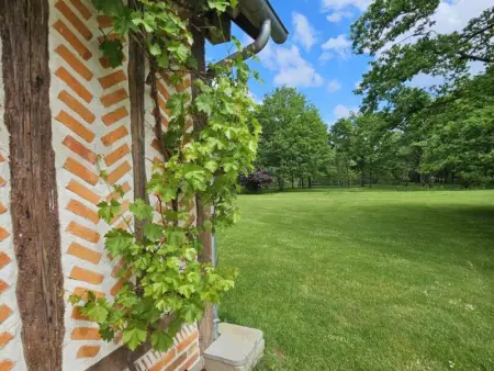 Charmant gîte champêtre avec bain nordique et terrasse privative - Photo 16